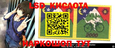 хмурый Камышлов