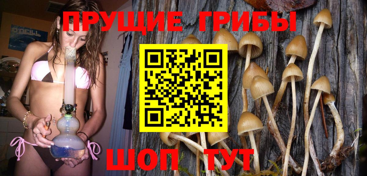 Екатеринбург  купить   Вход с VPN  Галлюциногенные грибы Psilocybine cubensis 
