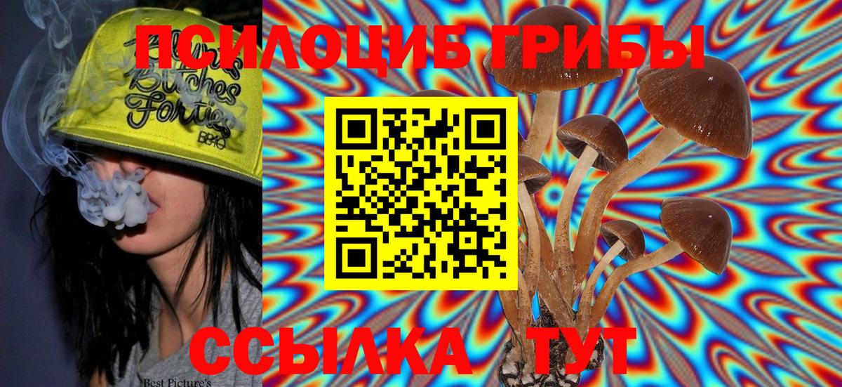 Галлюциногенные грибы Psilocybe Екатеринбург